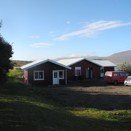 Icelandhorsetours - Helluland Saudarkrokur Exteriör bild
