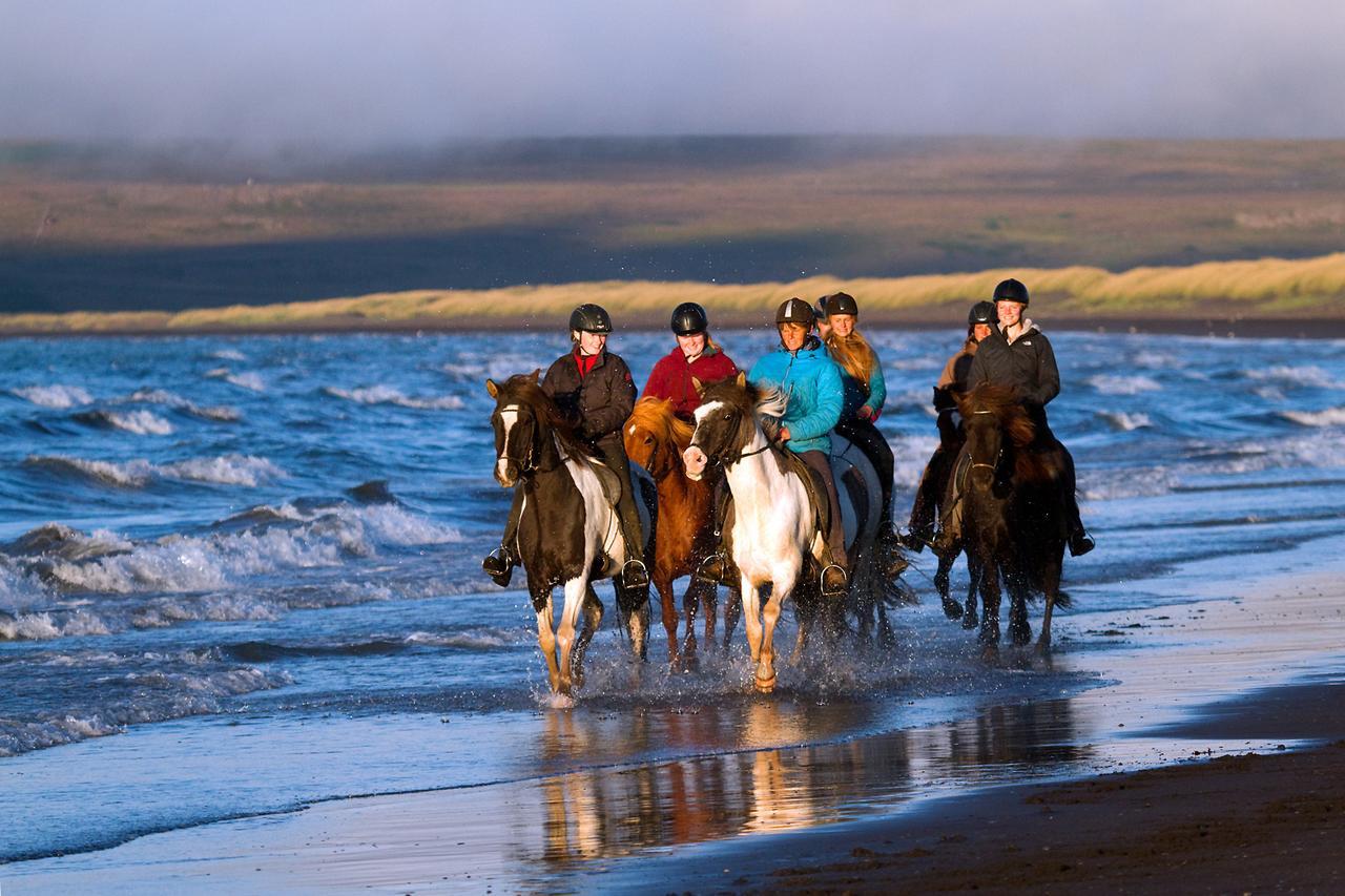 Icelandhorsetours - Helluland Saudarkrokur Exteriör bild