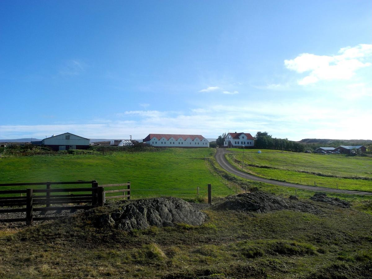 Icelandhorsetours - Helluland Saudarkrokur Exteriör bild