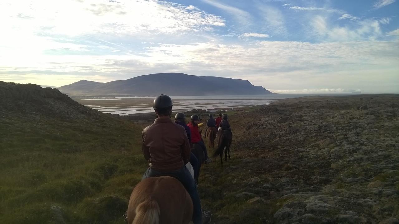 Icelandhorsetours - Helluland Saudarkrokur Exteriör bild